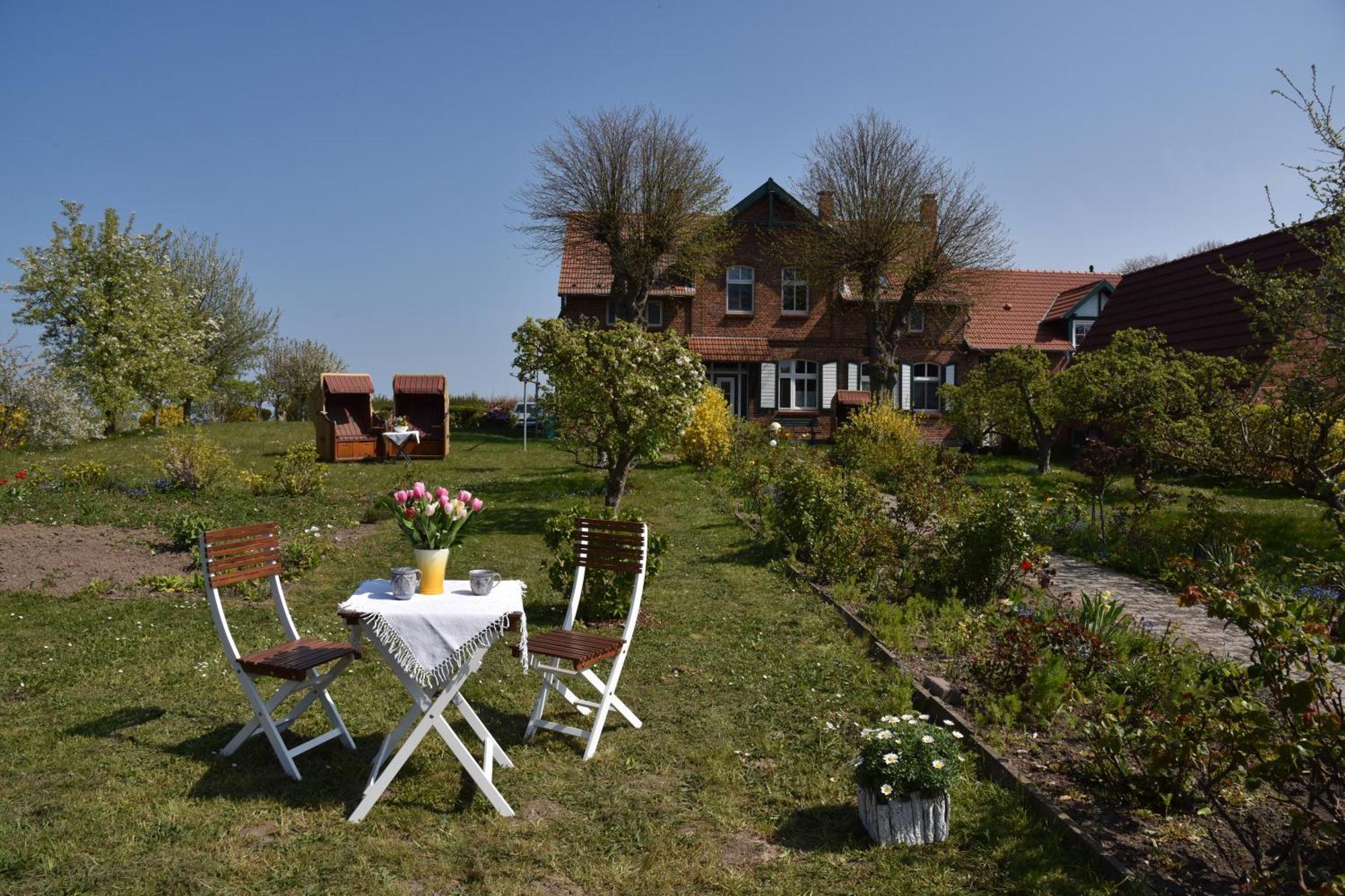 Hotel/Pension Bradhering Ahrenshoop Exteriör bild